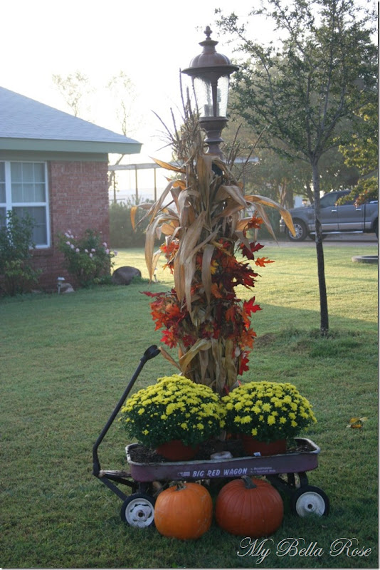IMG_4470 IMG_4470