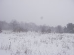 IMGP4278.JPG