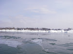 IMGP4489.JPG