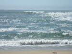 DSC00469.JPG