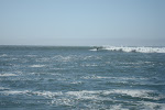Surf Kayaking Davenport Landing