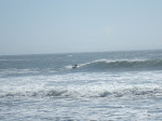DSC00505.JPG