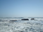 DSC00511.JPG