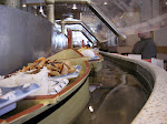 The Sushi boats were tasty....