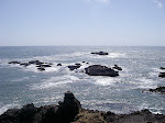 Beatiful vista near Pigeon point.