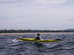 IMGP3398.JPG
