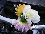 IMGP3851.JPG