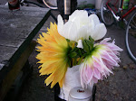 IMGP3853.JPG