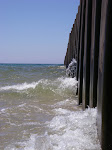 IMGP4685.JPG