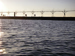 IMGP4746.JPG