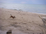 IMGP4710.JPG