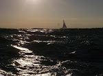 IMGP4882.JPG