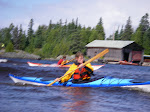 IMGP4977.JPG