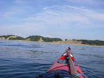 IMGP5173.JPG