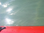 IMGP5163.JPG