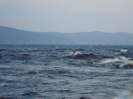 DSC01402.JPG