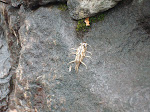 DSC01375.JPG