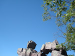 DSC01625.JPG