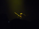 DSC01762.JPG