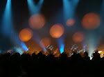 DSC01772.JPG