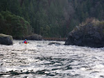IMGP0268.JPG