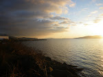 IMGP0158.JPG
