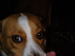 IMGP0296.JPG