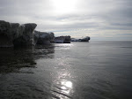 IMGP0398.JPG