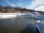 IMGP0440.JPG