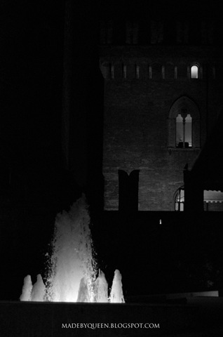 [Copia-di-DSC_8804[3].jpg]