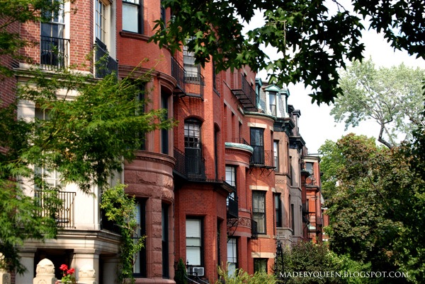 [backbay[1].jpg]