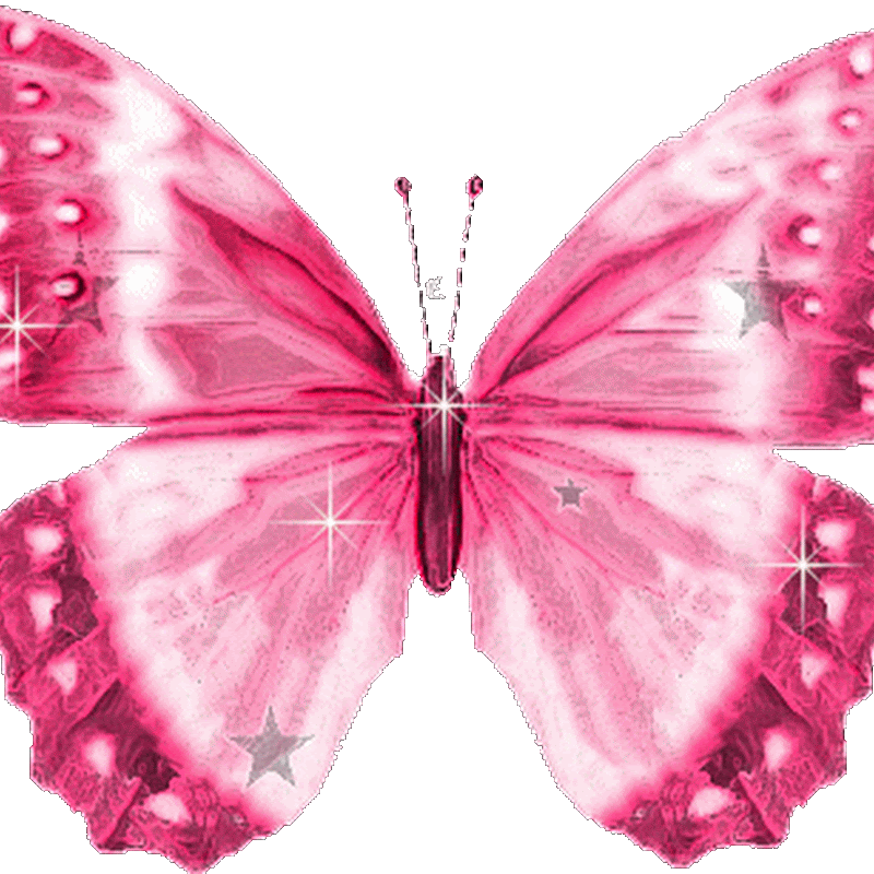 GIF ANIMADOS DE MARIPOSAS gif animados de mariposas: