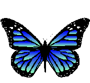 mariposas_zonadegif (19)