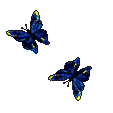 mariposas_zonadegif (18)