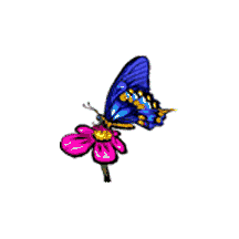 [mariposas_zonadegif (11)[2].gif]
