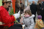 DSC00479-1.JPG