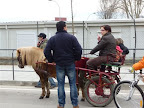 P1010804.JPG
