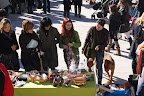 DSC00444.JPG