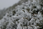 IMG_9267.JPG