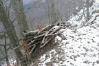 IMG_9403.JPG