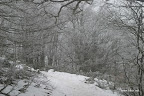 IMG_9231.JPG