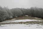 IMG_9172.JPG