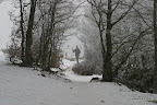 IMG_9237.JPG
