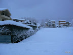 P1100030.JPG