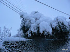 P1100032.JPG