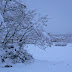 P1100039.JPG