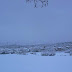 P1100040.JPG