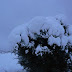 P1100042.JPG