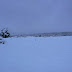 P1100043.JPG
