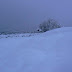 P1100050.JPG